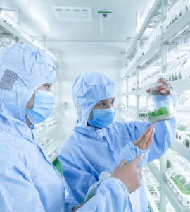 奶茶视频APP官网下载技術