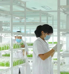 奶茶视频APP官网下载儀器