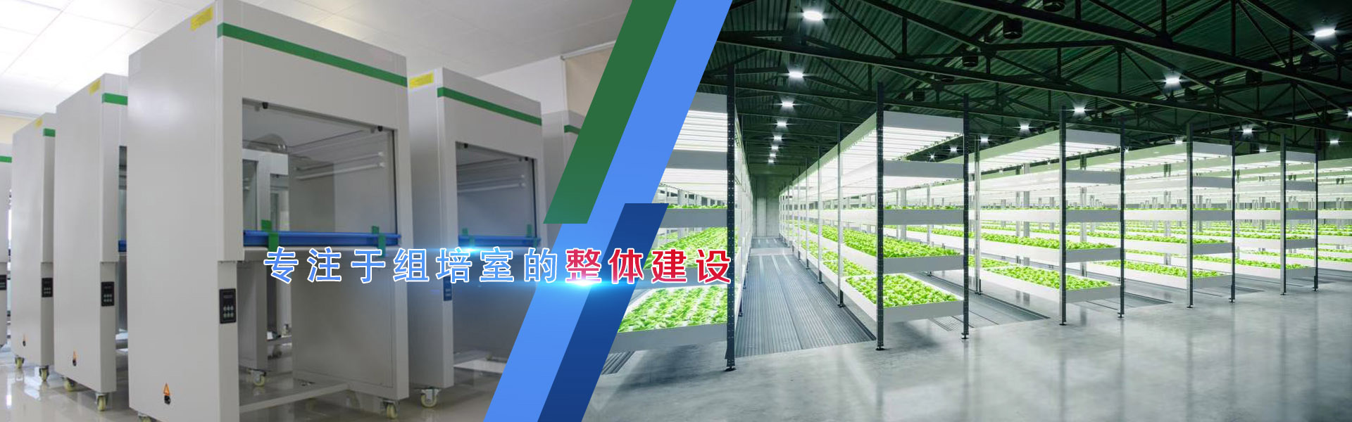 奶茶视频APP官网下载、奶茶视频APP官网下载架