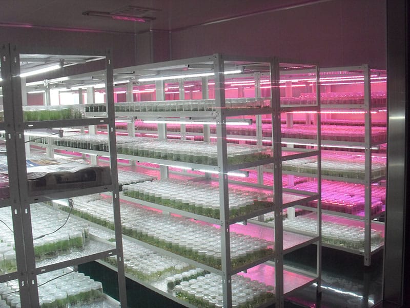 藍莓奶茶视频APP官网下载室及儀器設備