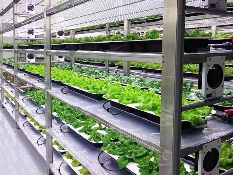 奶茶视频APP官网下载室淨化