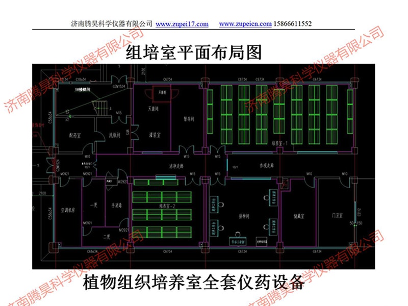 河北植物奶茶视频APP官网下载室