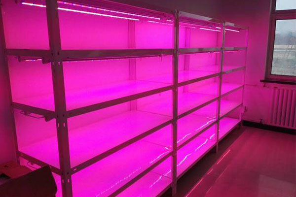 奶茶视频APP官网下载儀器廠家