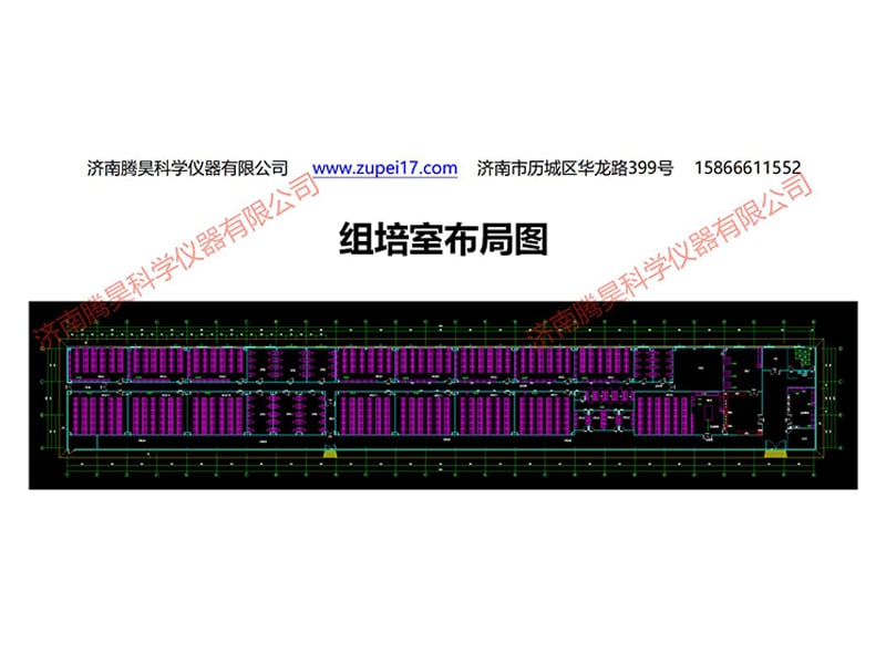 浙江植物奶茶视频APP官网下载實驗