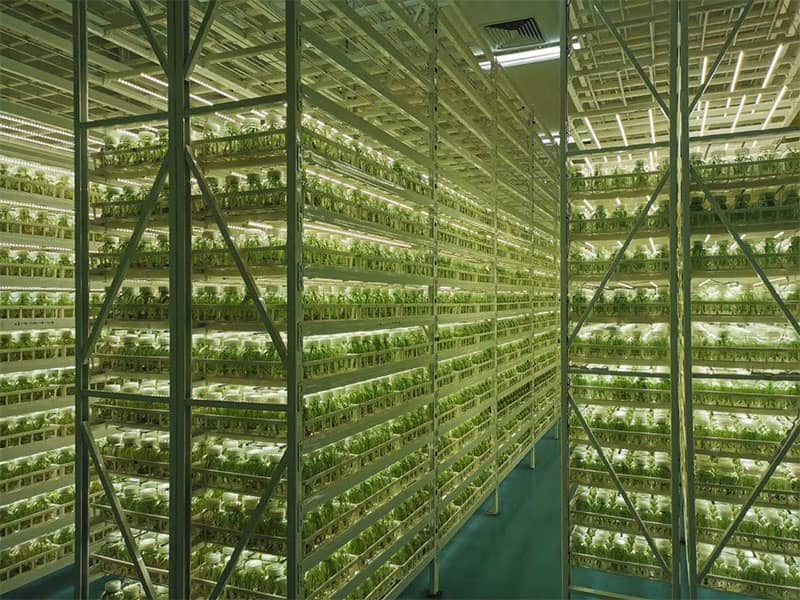 插扣式奶茶视频APP官网下载架