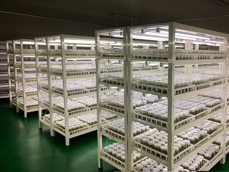 框架式奶茶视频APP官网下载架