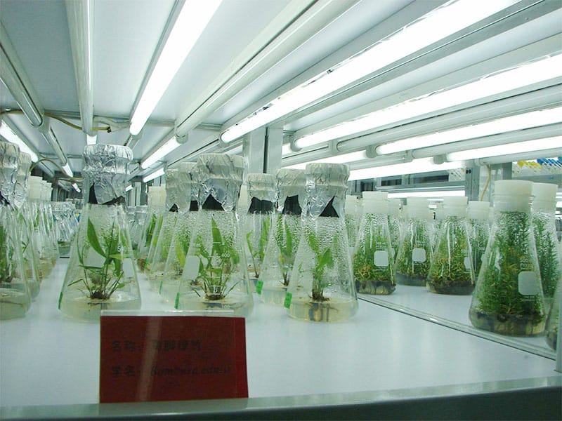 奶茶视频APP官网下载燈
