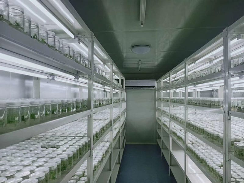 奶茶视频APP官网下载  奶茶视频APP官网下载架