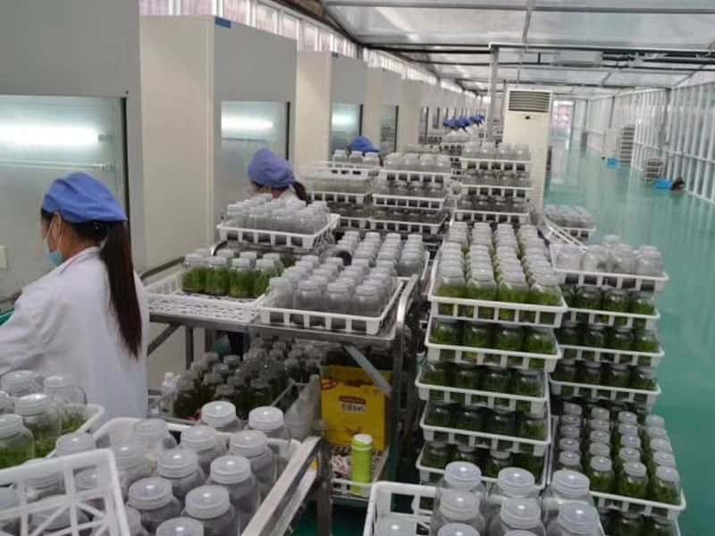 垂直送風超淨工作台