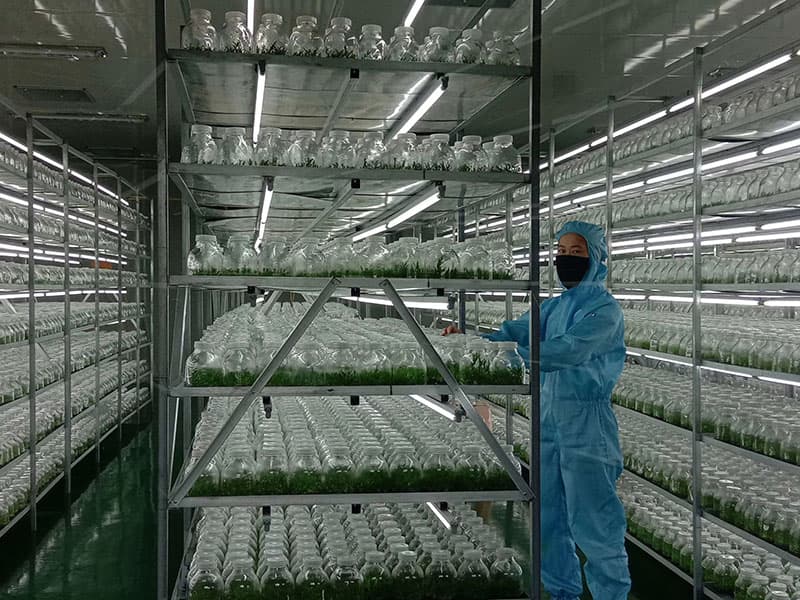插扣式奶茶视频APP官网下载架