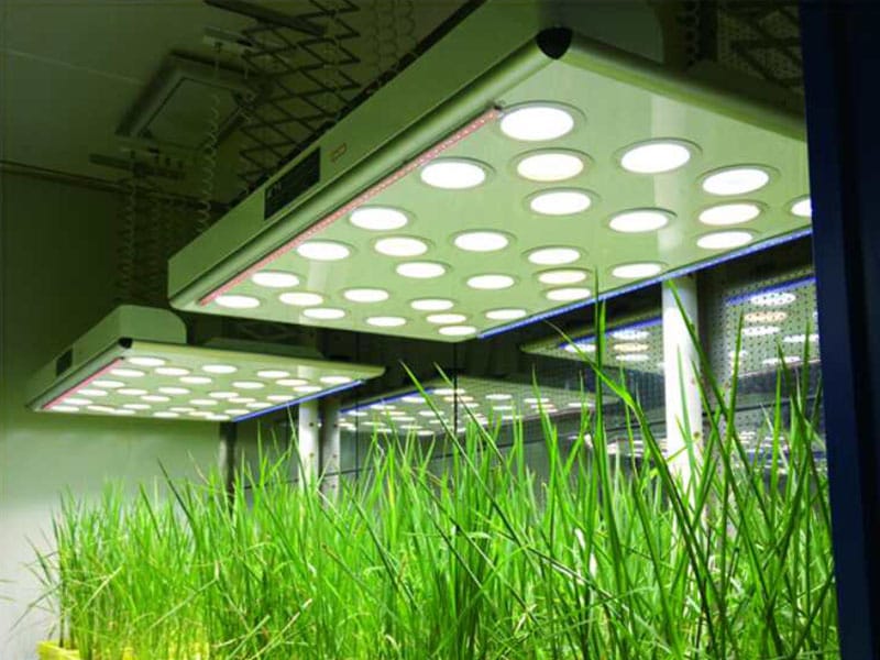 奶茶视频APP官网下载燈