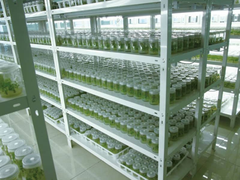 奶茶视频APP官网下载  奶茶视频APP官网下载架