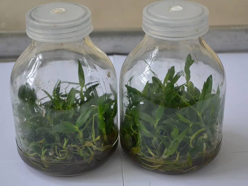 奶茶视频APP官网下载瓶