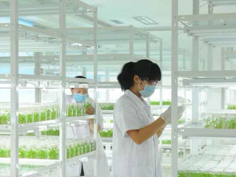 層板式奶茶视频APP官网下载架