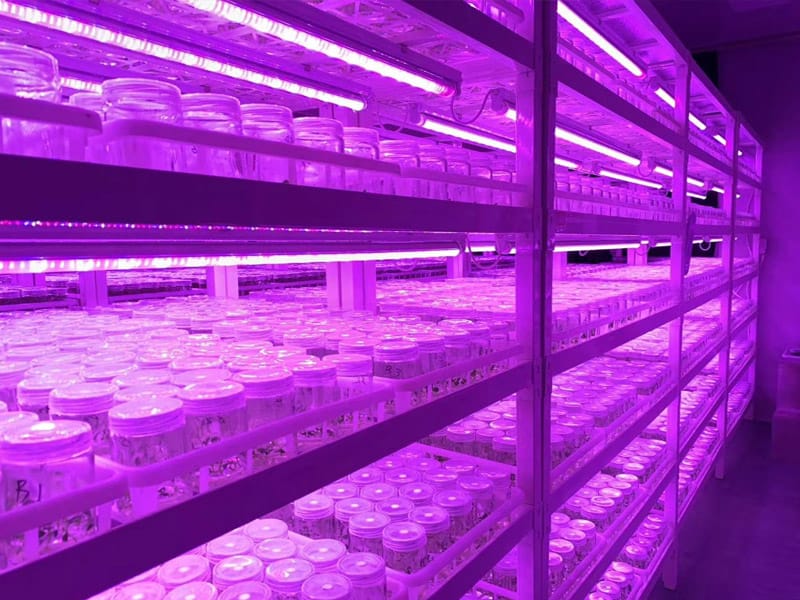 插扣式奶茶视频APP官网下载架