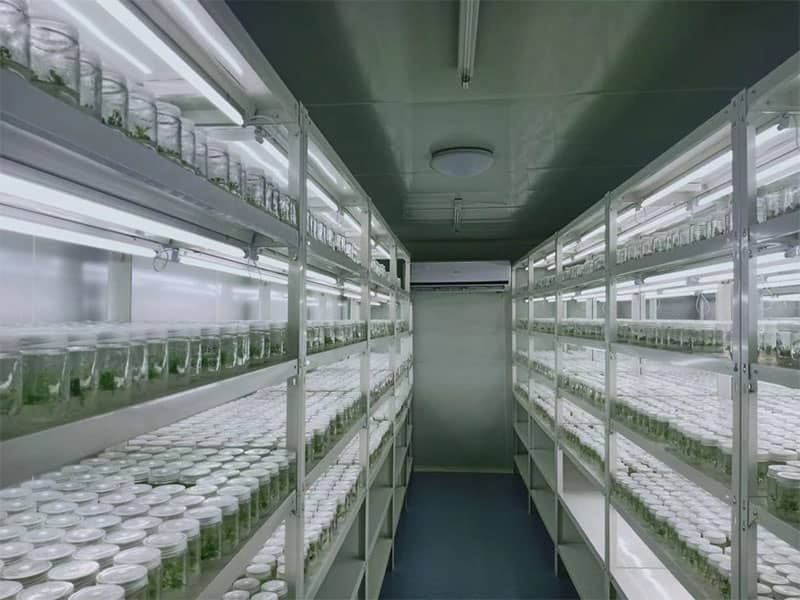 奶茶视频APP官网下载  奶茶视频APP官网下载架