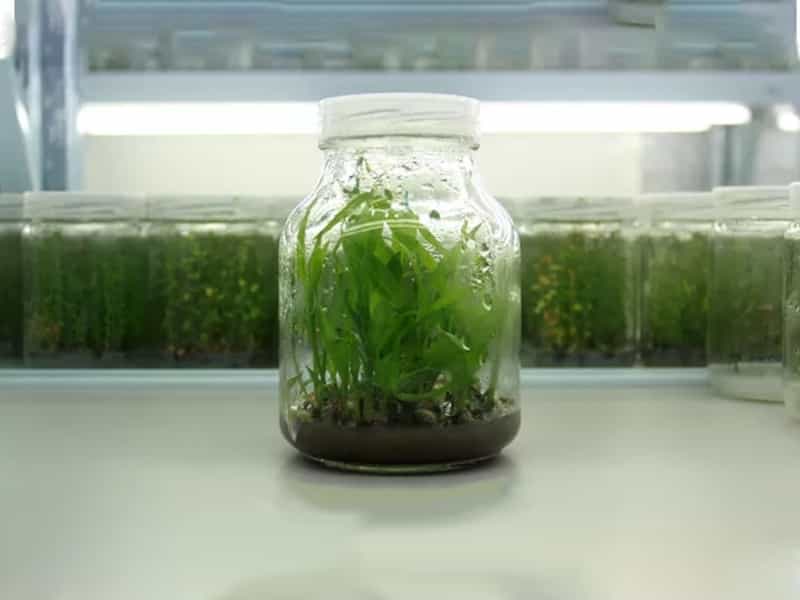 奶茶视频APP官网下载瓶