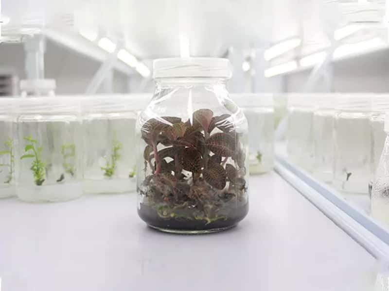 奶茶视频APP官网下载瓶