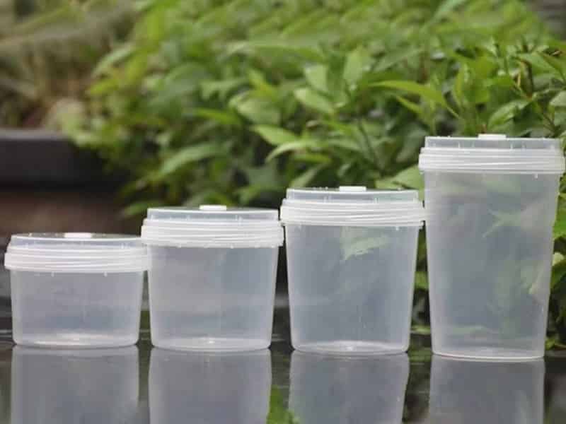 奶茶视频APP官网下载瓶