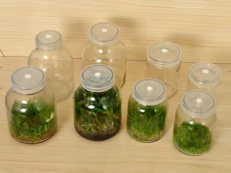 奶茶视频APP官网下载瓶